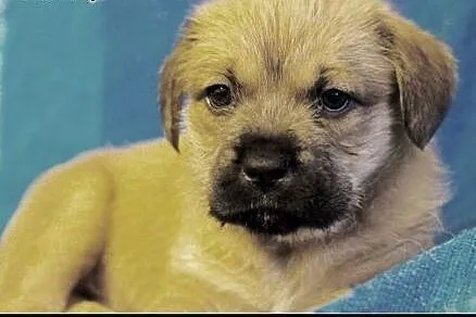 KOMU?! KOMU?! 2 msc ODYSEUSZ CHCE DO DOMU!!!,  maz