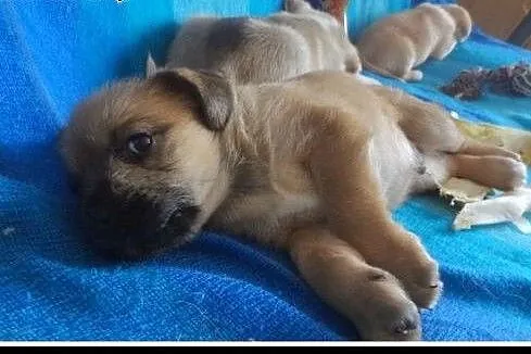 KOMU?! KOMU?! 2 msc ODYSEUSZ CHCE DO DOMU!!!,  maz
