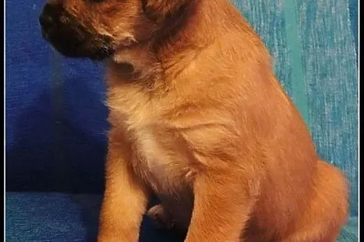 KOMU?! KOMU?! 2 msc ODYSEUSZ CHCE DO DOMU!!!,  maz