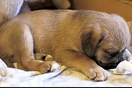 KOMU?! KOMU?! 2 msc ODYSEUSZ CHCE DO DOMU!!!,  maz