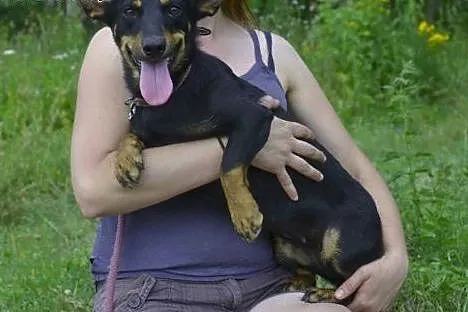 ŻABCIA do adopcji - 3/4 latka, nieduża, wesoła, to