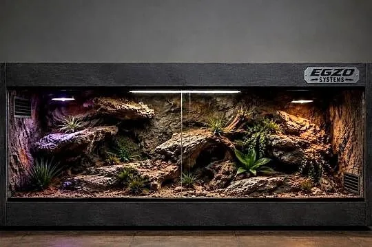 Terrarium dla gekona lamparciego żółwia greckiego