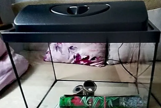 Pilnie sprzedam akwarium w dobrym stanie!