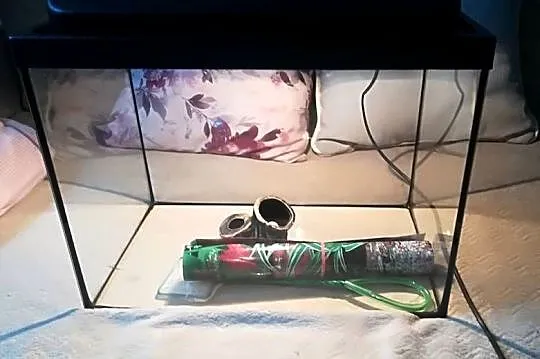 Pilnie sprzedam akwarium w dobrym stanie!, Dolnośląskie, Jordanów Śląski