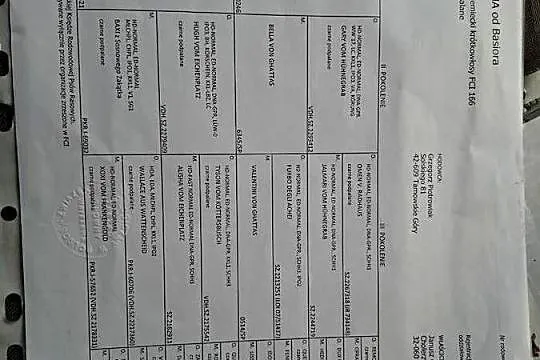 Suka hodowlana owczarek niemiecki  z Rodowodem FCI, Mazowieckie, Płock