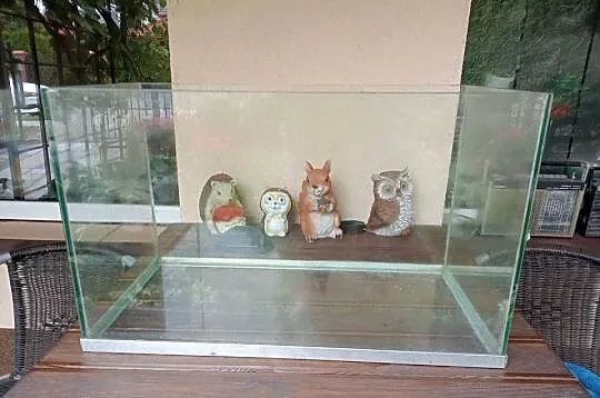 Terrarium 60x30x37