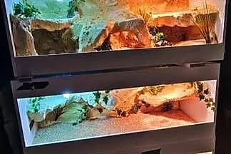 Okazja terrarium dla agamy gekona żółwia węża kameleona legwana boa pająka
