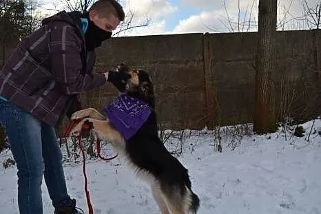Kalmo- ma czas do końca marca 17 filmik,  wielkopo