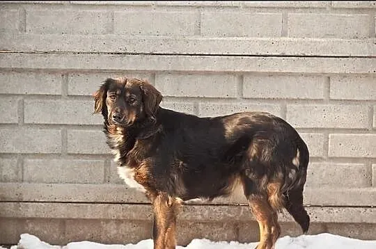 Smutna Wandzia traci cenny czas w boksie