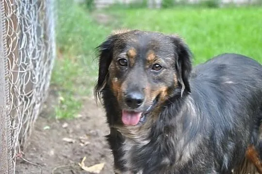 Smutna Wandzia traci cenny czas w boksie