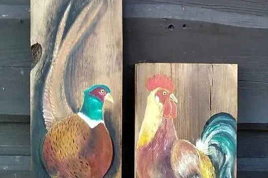 Kolorowy kogut na desce do altanki , na taras ., Lubelskie, Osmolice Pierwsze