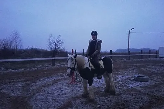 Sprzedam tinkera, , Domaniew