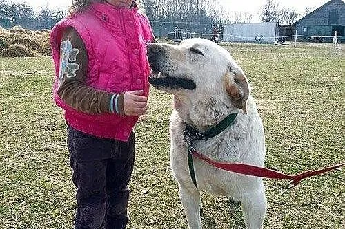 Wicek - skazany na dożywocie___