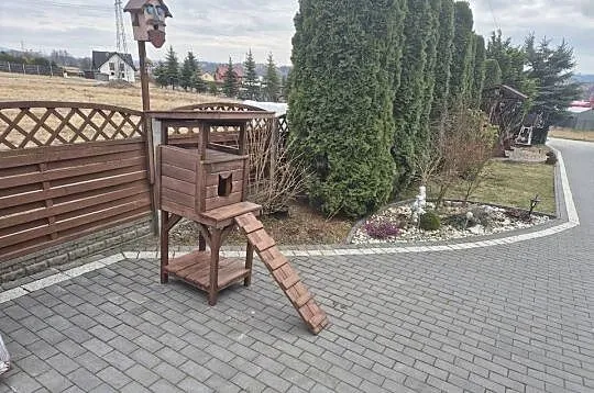 Buda dla kota, Małopolskie, Jordanów
