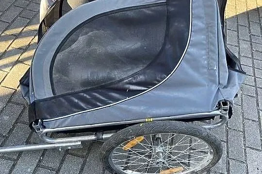 Przyczepka rowerowa dla psa / kota
