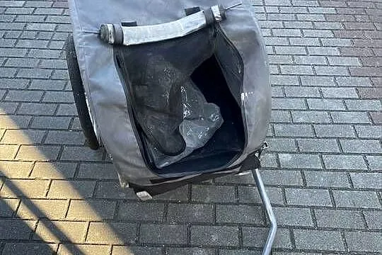 Przyczepka rowerowa dla psa / kota, Opolskie, Opole