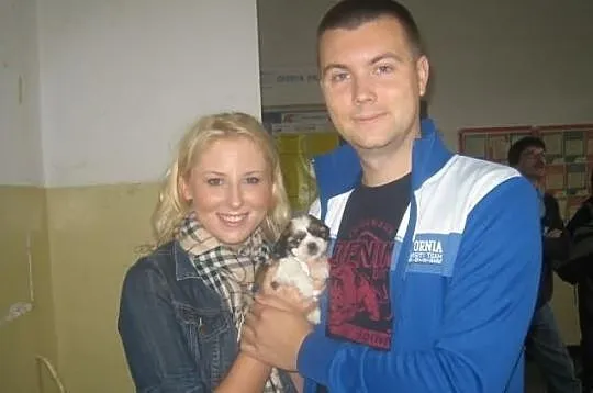 SHIH TZU - Cudowne maluszki