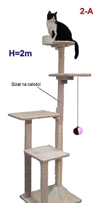 Drapak dla kota 2m, solidne drewno 2a Amiculus, Mazowieckie, Warszawa