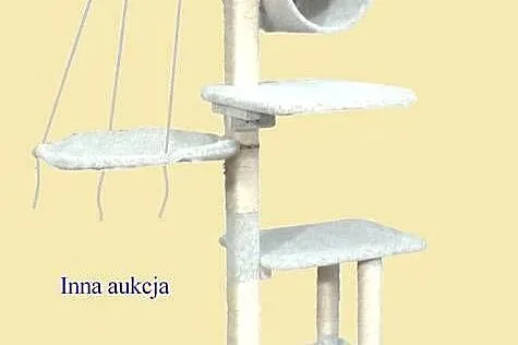 Drapak dla kota 2m, solidne drewno 2a Amiculus, Mazowieckie, Warszawa