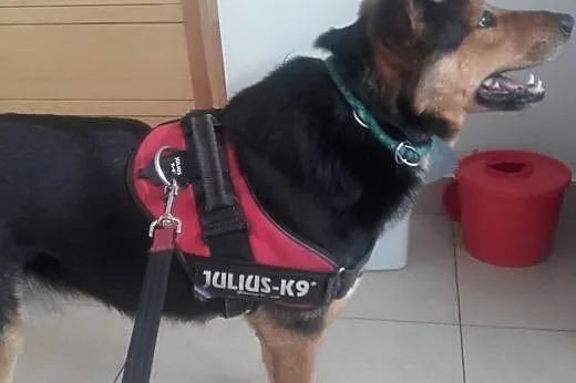 LUCKY - nie pamięta już, że było źle - chce tylko 