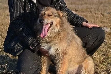 Milutki Emil kocha ludzi bardzo mocno... Czy ktoś 
