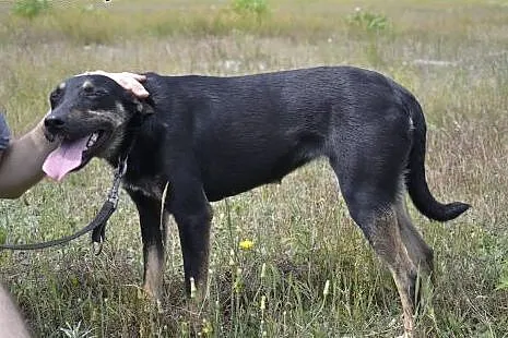 Urocza, delikatna Gama pokocha od zaraz!,  małopol