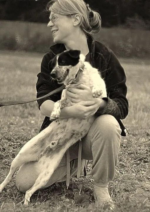 Ciapek- niewielki piesek w typie jack russel na dł