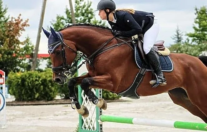 Coco Lady, , Mszczonów
