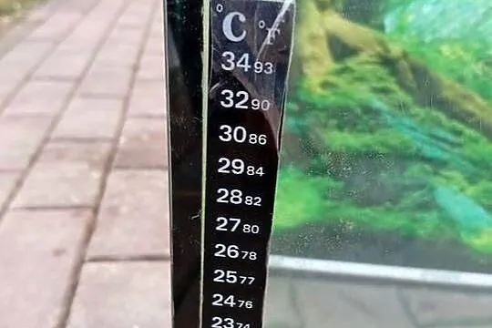 Sprzedam akwarium 60l, Małopolskie, Łososina Dolna