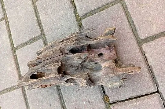 Sprzedam akwarium 60l, Małopolskie, Łososina Dolna