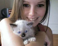 Kocięta Gccf Ragdoll. napisz do nas na WhatsApp: +27848239748, , Erazmów