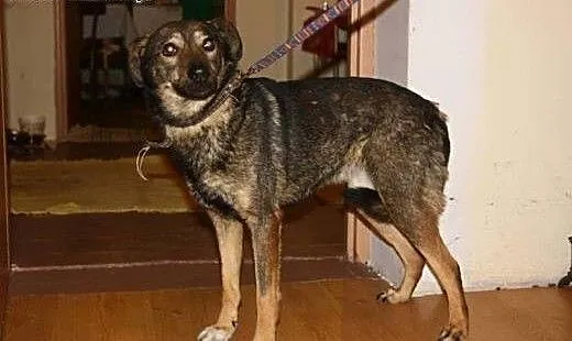 Takie sunie jak AGUSIA są niemal niezauważalne...