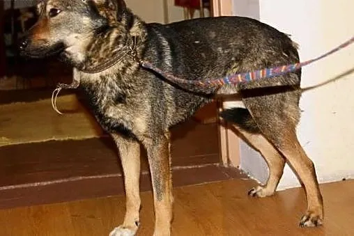 Takie sunie jak AGUSIA są niemal niezauważalne... 
