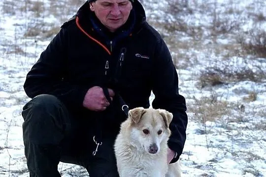 Młody, wesoły Flavio szuka wesołej, aktywnej rodzi