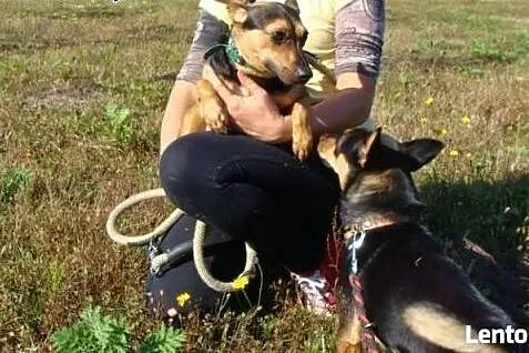 Kika to maleńka kruszynka, w schronisku nie ma sza