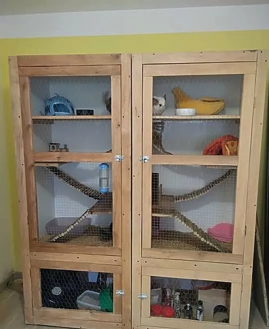 Woliera dla szynszyla x2, Świętokrzyskie, Tarczek
