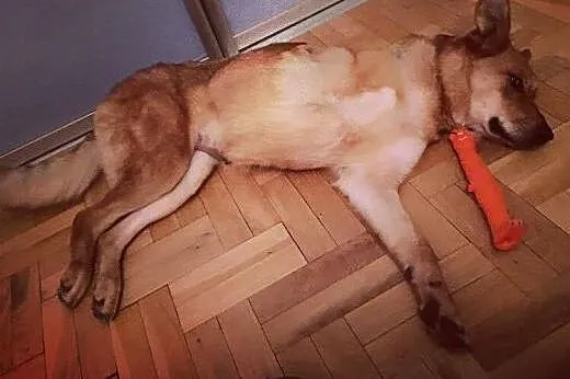 Pyszna - bez niej życie jest nudne i smutne:) ,  m