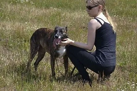 Moczówka to nie wyrok, adoptuj wspaniałą Arizonkę!