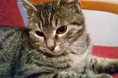 Marysia szuka najwspanialszego człowieka dla siebi