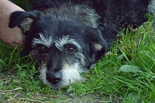 Bajka bo wygląda jak z bajki. Ma bajeczną szorstką