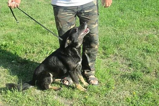 Radosna, bezkonfliktowa i bezproblemowa Rafia, po 