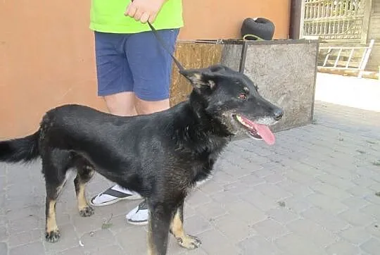 Radosna, bezkonfliktowa i bezproblemowa Rafia, po 