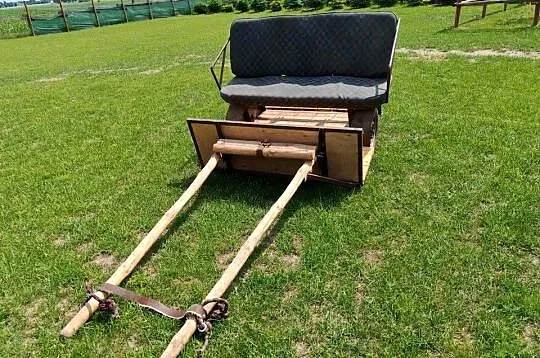 Bryczka dwukołowa dla konia kucyka, Kujawsko-pomorskie, Pruszcz