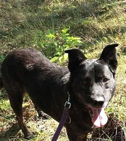 WILMA – super sunia wierna i z charakterem, , Grabce-Towarzystwo