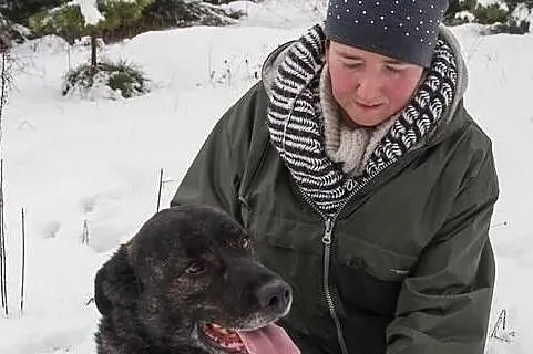 WILMA – super sunia wierna i z charakterem, , Grabce-Towarzystwo