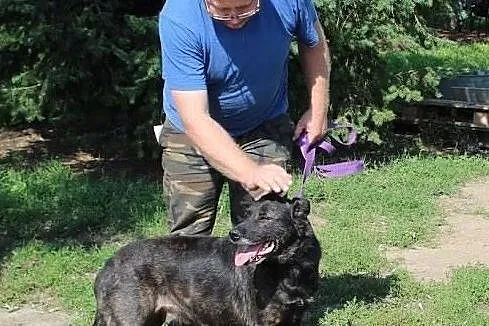 WILMA – super sunia wierna i z charakterem, , Grabce-Towarzystwo