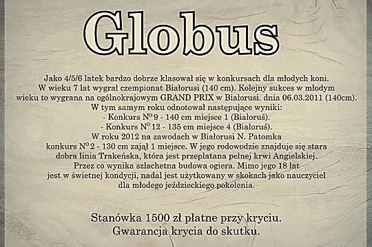 Stanówka ogierem GLOBUS, , Gołanice