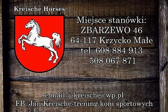 Stanówka ogierem GLOBUS, , Gołanice