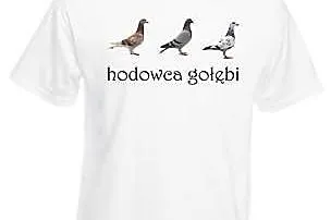 Koszulki dla hodowców gołębi z nadrukiem