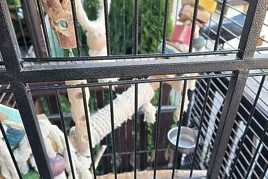 Klatka dla dużych Papug, Małopolskie, Zawoja